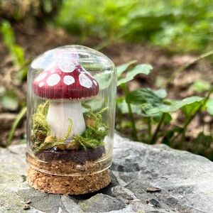 Miniature Mushroom Terrarium with Red Cap